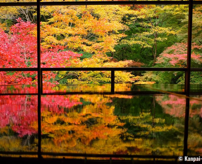 Ruriko-in, Ruri-no-niwa garden reflected on the lacquered table in autumn 2