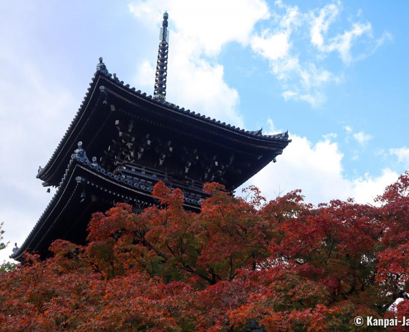 Shinnyo-do (Shinshogokuraku-ji), View on the red maple trees and the pagoda Shinnyo-do (Shinshogokuraku-ji), View on the red maple trees and the pagoda
