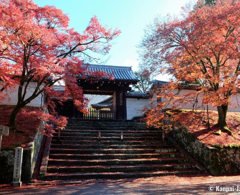 Manshu-in (Kyoto), Chokushi-mon gate in autumn