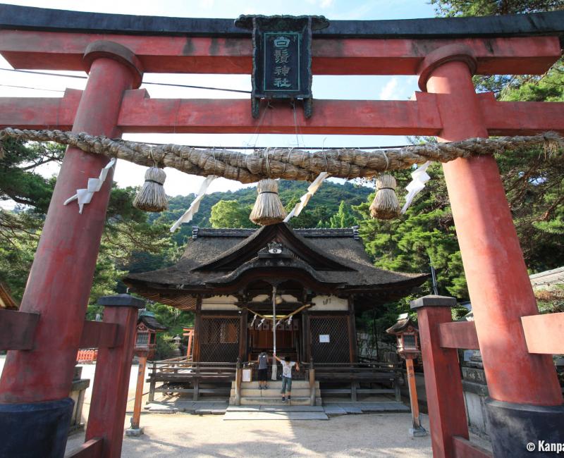 Shirahige-jinja, Honden main hall Shirahige-jinja, Honden main hall