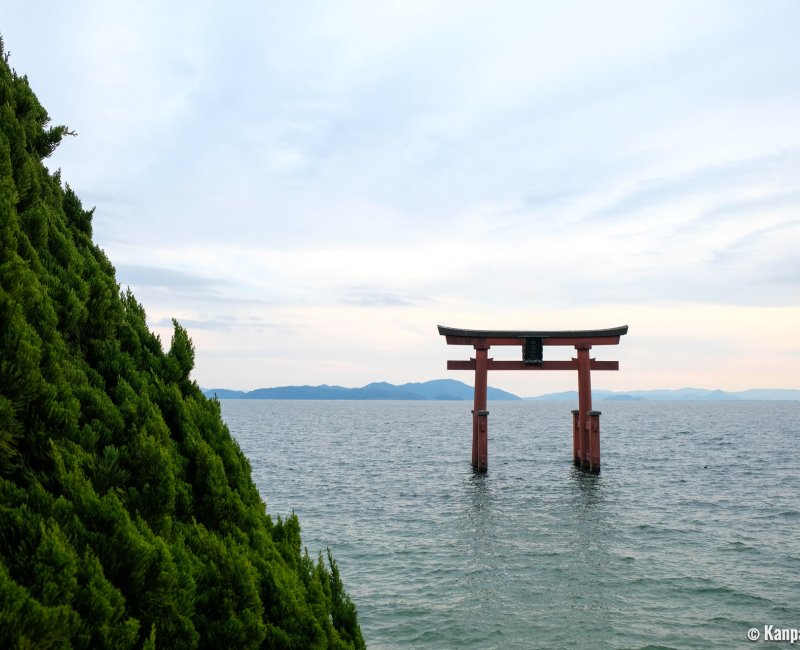 Shirahige-jinja (Takashima, Shiga), Floating torii on Lake Biwa