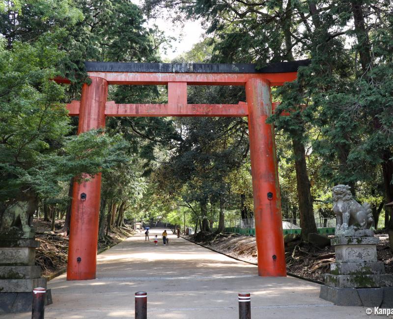 Tamukeyama Hachiman-gu, Main torii gate and entrance of the shrine Tamukeyama Hachiman-gu, Main torii gate and entrance of the shrine