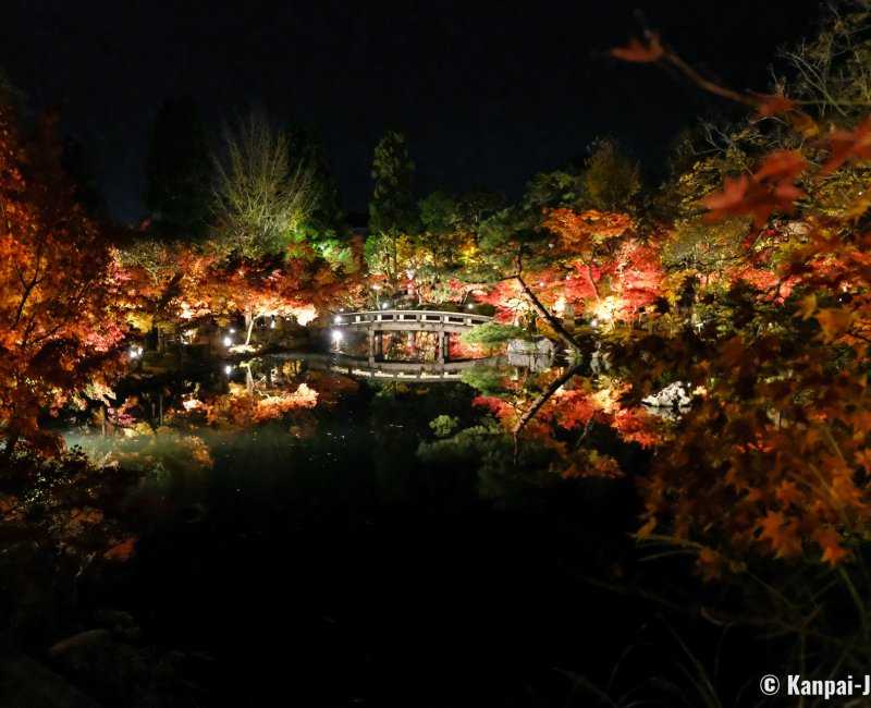 Eikan-do (Kyoto), Night illumination during the Koyo period