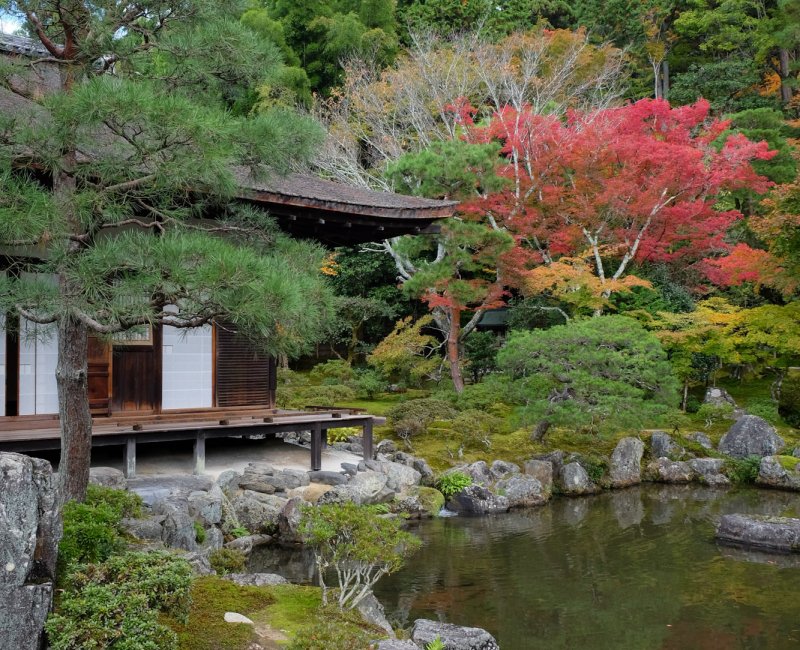 Ginkaku-ji (Kyoto), Togu-do Pavilion and pond in autumn