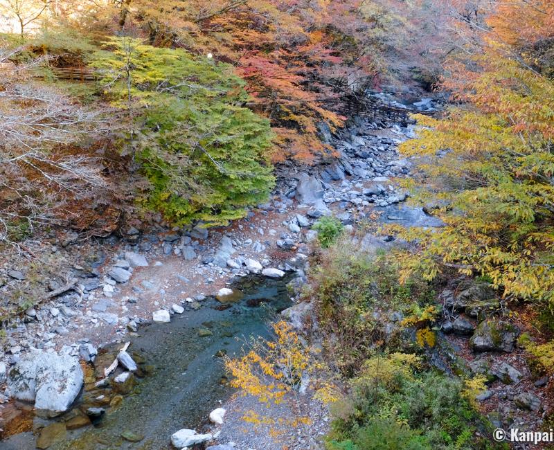 Iya Valley in Shikoku, View on the river in autumn