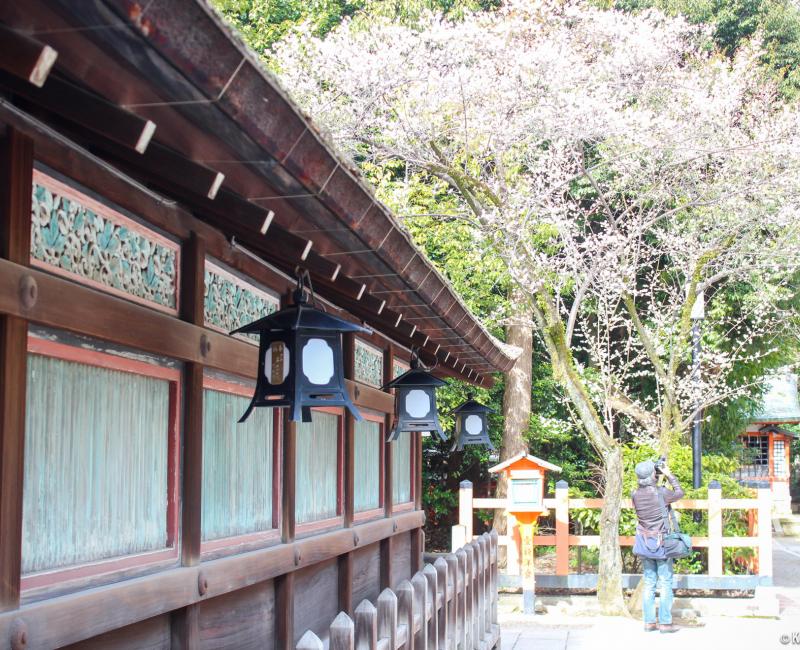 Chion-in temple in Kyoto, Gobyo-do Mausoleum before renovation Chion-in temple in Kyoto, Gobyo-do Mausoleum before renovation