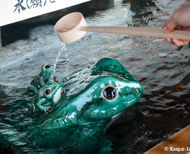 Meoto Iwa (Ise), Frog statues at Futami Okitama shrine