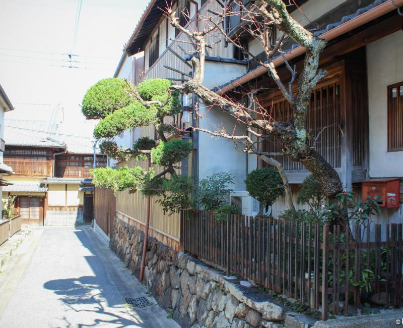 Naramachi District in Nara, Traditional house with a garden on the street Naramachi District in Nara, Traditional house with a garden on the street