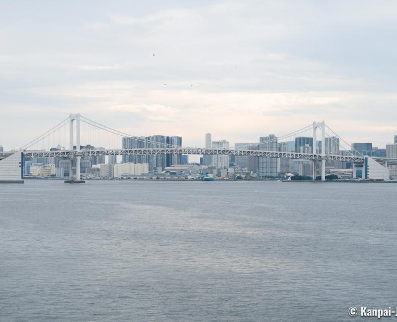 Rainbow Bridge (Tokyo), View on the bridge from Gururi Park in Toyosu 2 Rainbow Bridge (Tokyo), View on the bridge from Gururi Park in Toyosu 2
