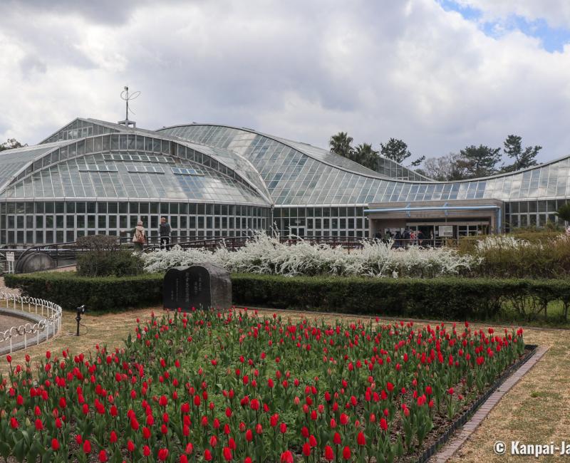Kyoto Botanical Gardens, View of the Conservatory-Greenhouse