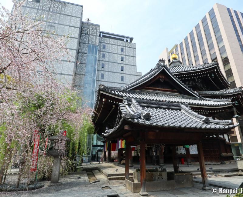 Rokkaku-do (Kyoto), Hexagonal pavilion, blooming cherry trees and buildings