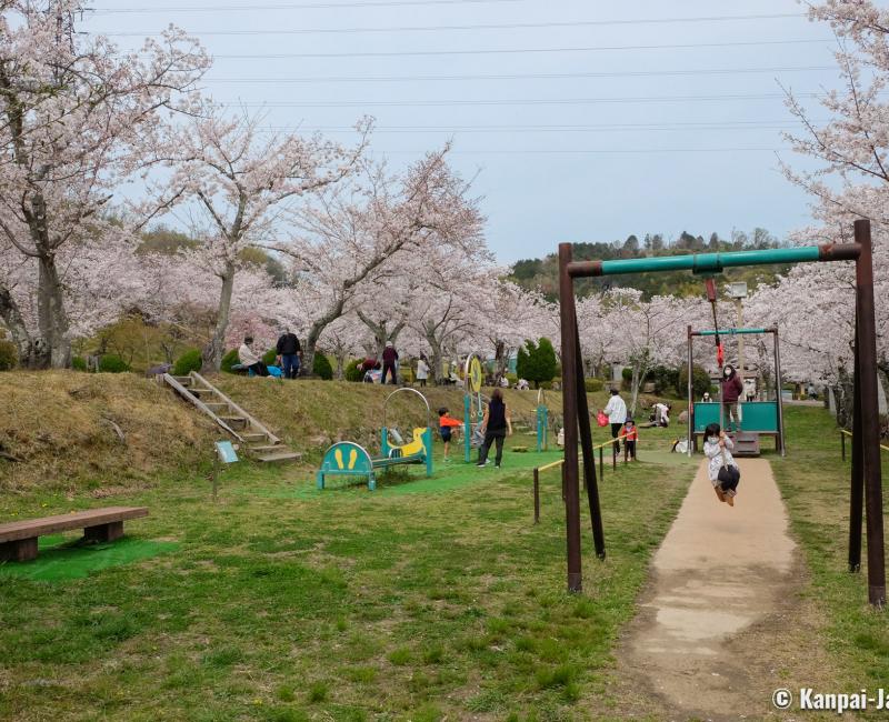 Settsukyo Park (Osaka), Children's playground under the cherry trees in spring