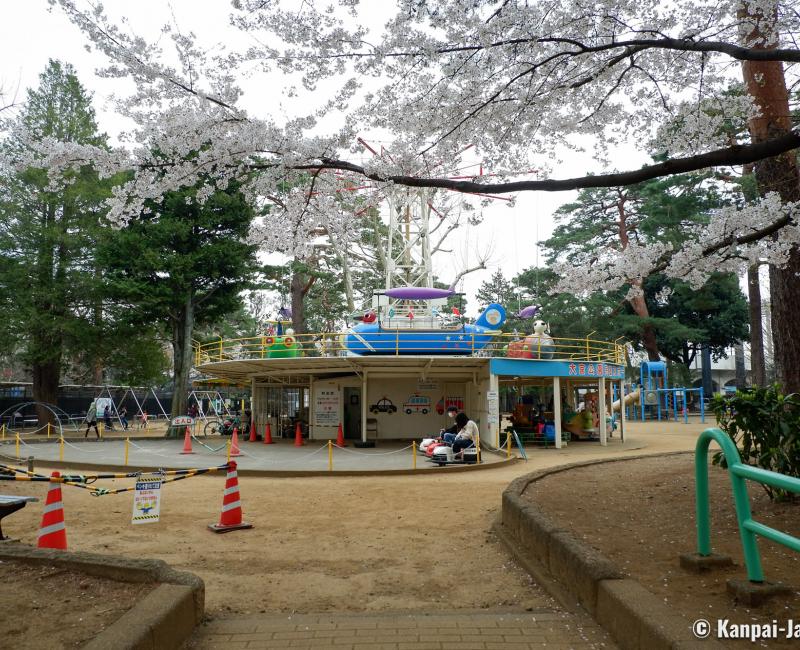 Omiya Park (Saitama), Children's playground with roundabouts and sakura