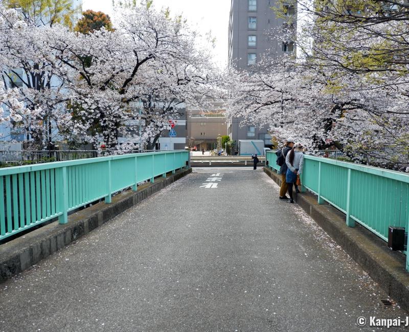 Omokage-bashi Bridge nowadays