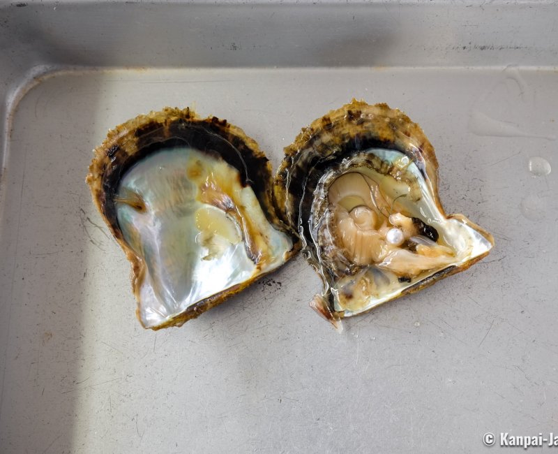 Mie prefecture, Cultured pearl harvest experience in Shinju no Sato in Ago Bay 2