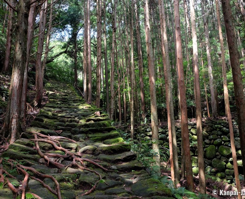 Kumano - The Picturesque Stopover Town on the Iseji Route Kumano - The Picturesque Stopover Town on the Iseji Route