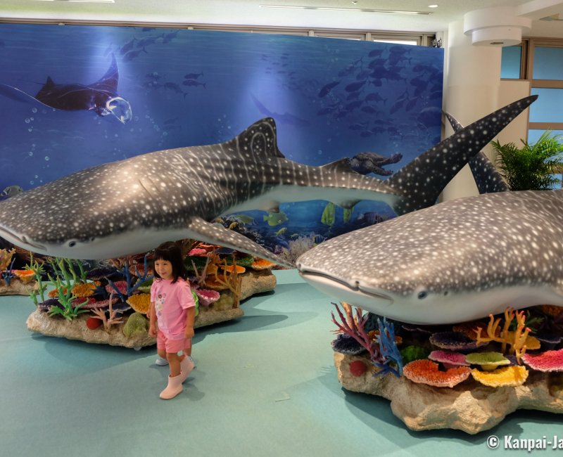 Okinawa Churaumi Aquarium, Whale shark mascots