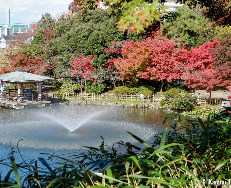 Takaoka (Toyama), Castle park and red maple trees in autumn Takaoka (Toyama), Castle park and red maple trees in autumn