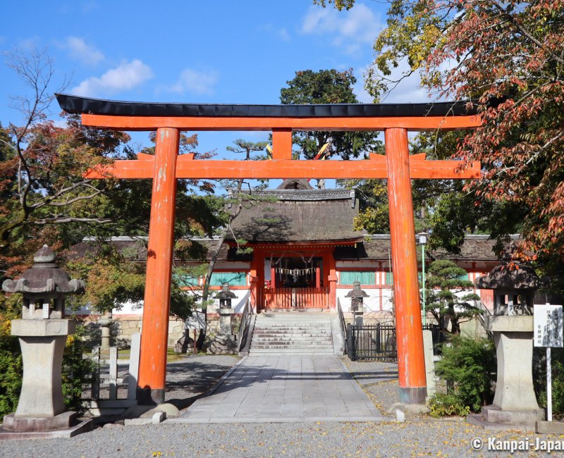 〈洋書〉増補版 KYOTO the forest within the gate Kyoto: The Forest Within the Gate: Einarsen, John