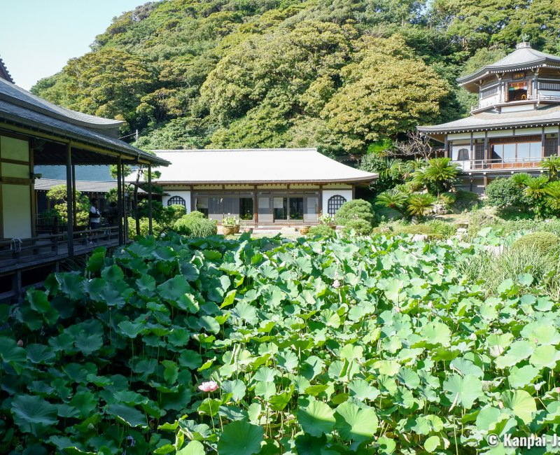 Komyo-ji (Kamakura), Kishu-teien garden and its lotus pond and Daishokaku pavilion