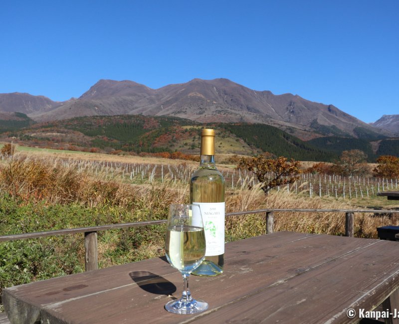 Mounts Kuju (Taketa, Oita), Kuju Winery 2