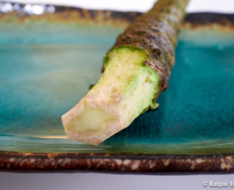 wasabi　大判4枚 Wasabi 100/120g | ISSé JAPAN