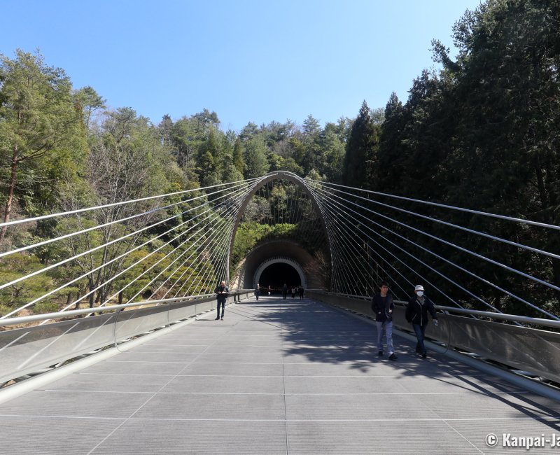 Miho Museum, Cable-stayed bridge to the Tunnel Miho Museum, Cable-stayed bridge to the Tunnel