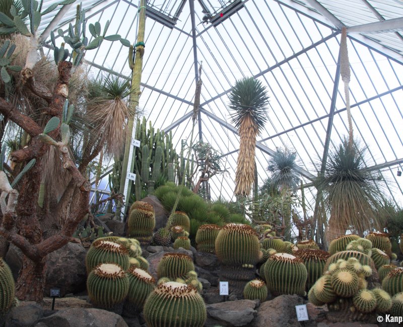 Izu Shaboten Zoo, Cacti greenhouse