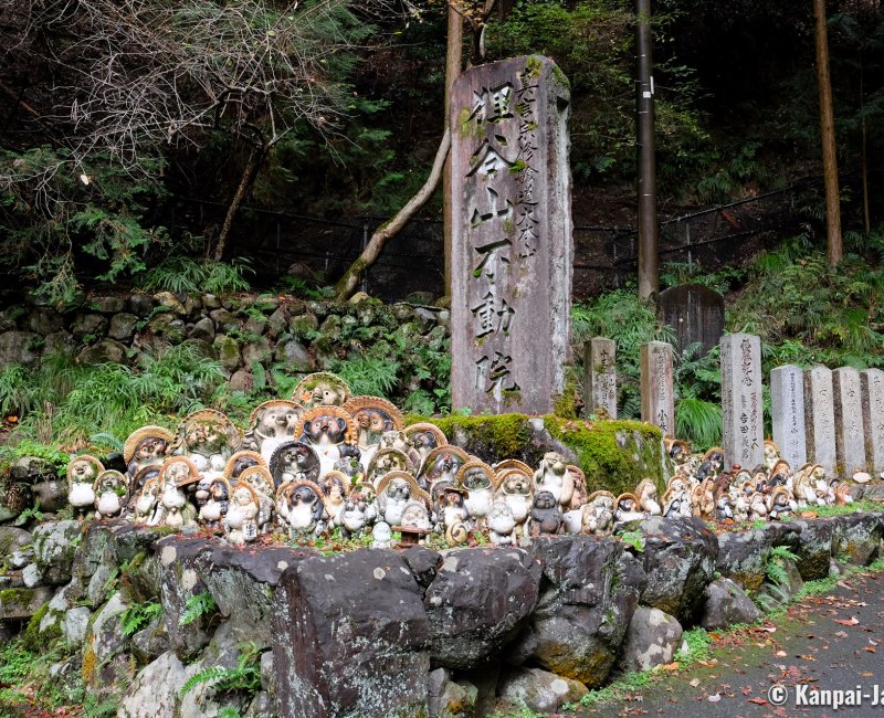 Tanukidani-san Fudo-in (Kyoto), Tanuki statues in the temple's grounds