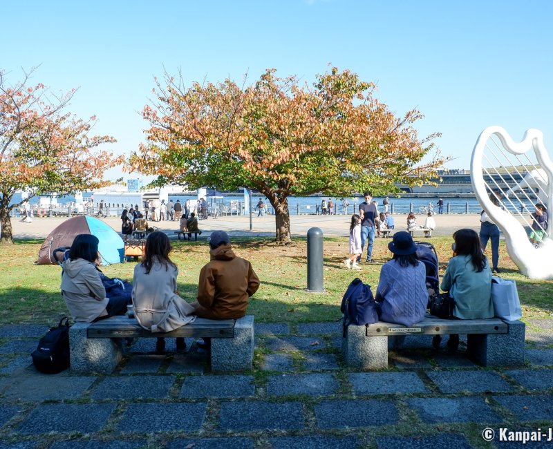 Minato Mirai 21 (Yokohama), View on the cherry trees in autumn at Akarenga Port