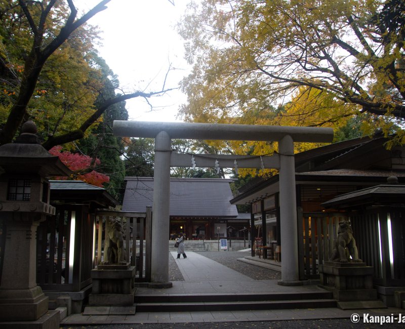 Nogi-jinja (Tokyo), Torii gate and pavilions in autumn Nogi-jinja (Tokyo), Torii gate and pavilions in autumn