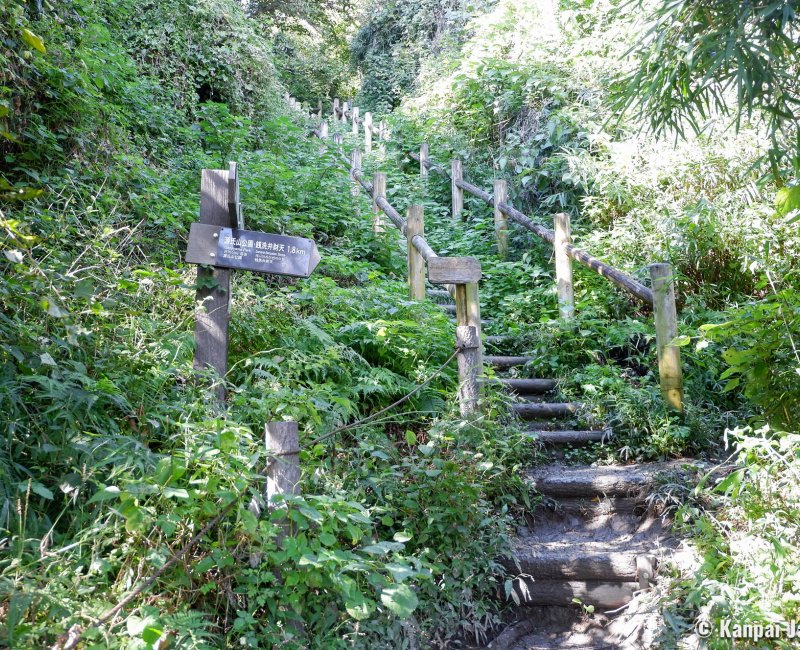 Daibutsu Hiking Trail (Kamakura), Stairway in the hilly forest Daibutsu Hiking Trail (Kamakura), Stairway in the hilly forest