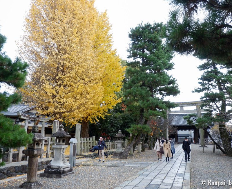 Gokonomiya-jinja (Kyoto), Paved alley of the shrine in autumn