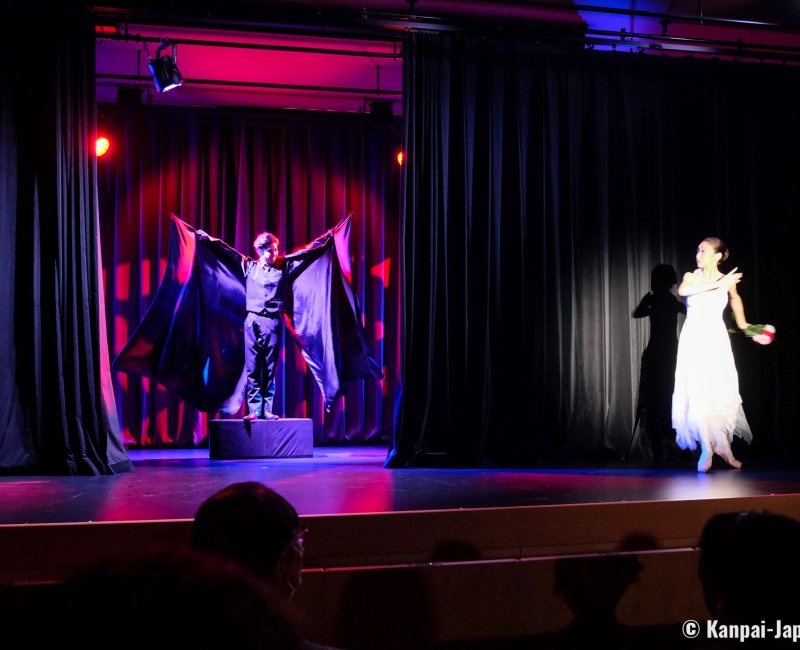 Naminoritei Theater (Seikaiha), Ballet performance Swan Lake by Tchaikovsky Naminoritei Theater (Seikaiha), Ballet performance Swan Lake by Tchaikovsky