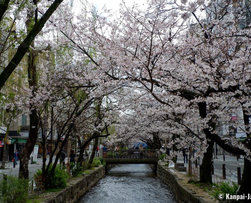 Kiyamachi-dori (Kyoto), View on Takase Canal and its blooming cherry trees