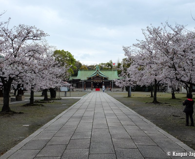 Osaka Gokoku-jinja, Cherry trees and Haiden Hall dedicated to soldiers who died for the nation