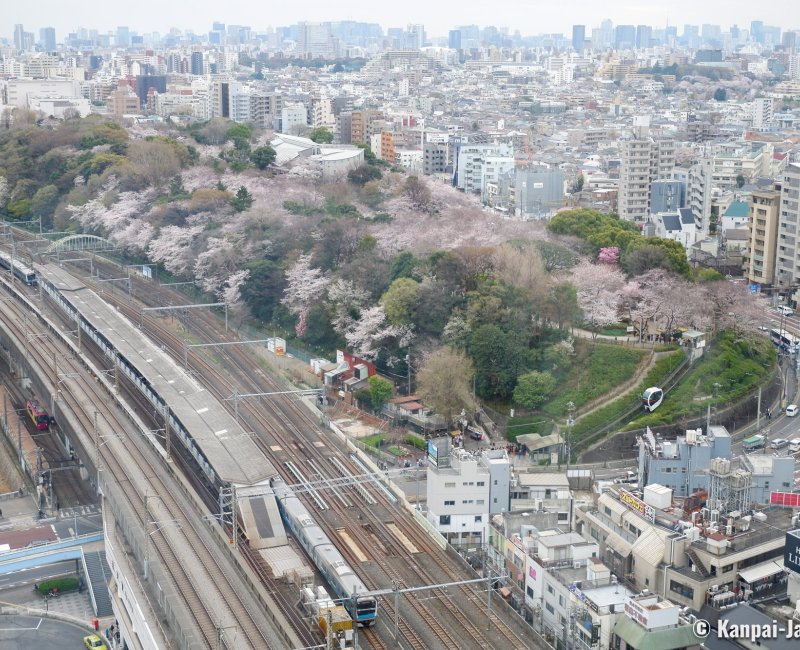 Oji (Tokyo), View on Asukayama Park and the station from Hokutopia's Observatory Oji (Tokyo), View on Asukayama Park and the station from Hokutopia's Observatory