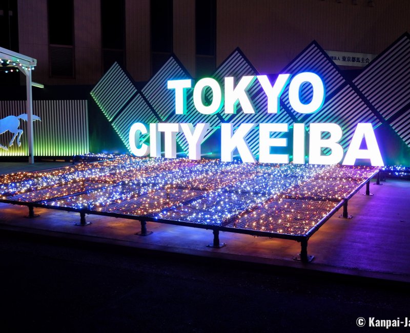 Tokyo Mega Illumination (Shinagawa), Tokyo City Keiba neon signs