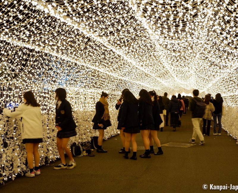 Tokyo Mega Illumination (Shinagawa), Edo Sakura Tunnel and LED lights cherry blossoms 2