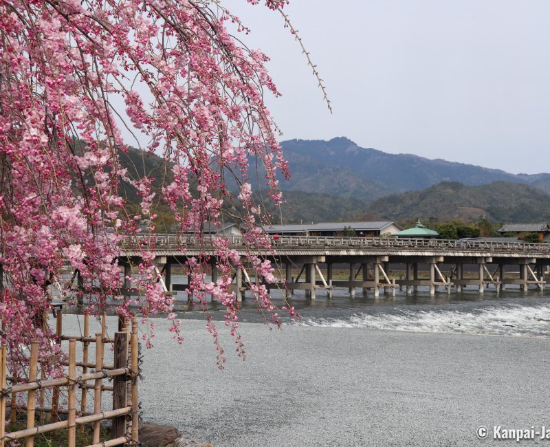 Togetsukyo (Kyoto), The bridge during sakura season in early April 3 Togetsukyo (Kyoto), The bridge during sakura season in early April 3