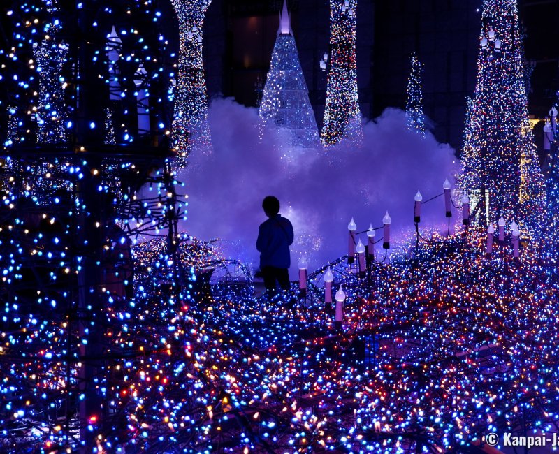 Caretta Shiodome (Tokyo), Christmas illumination in the shopping center 5 Caretta Shiodome (Tokyo), Christmas illumination in the shopping center 5