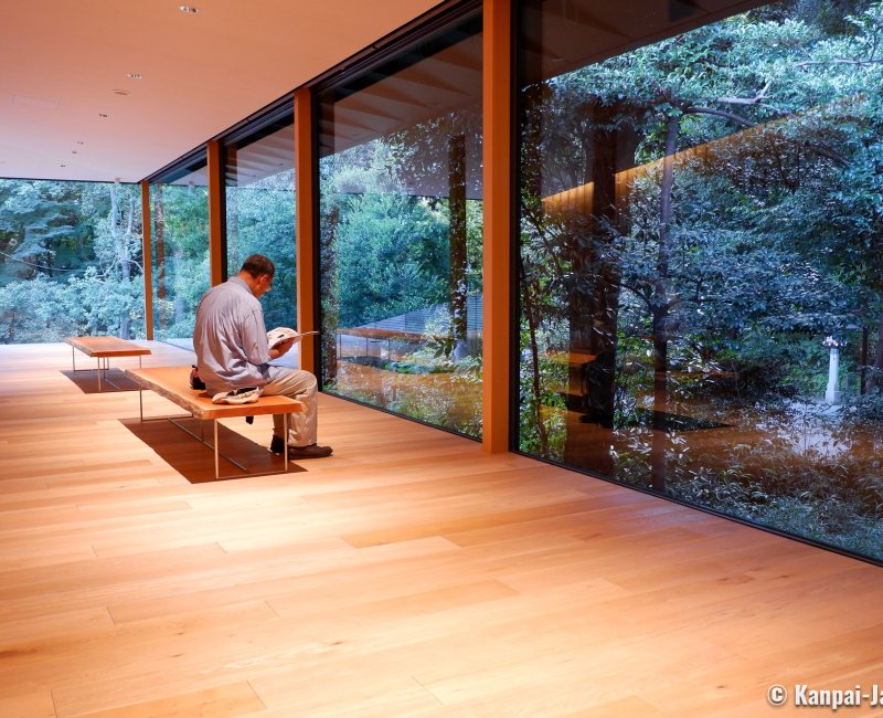 Meiji Jingu Museum, View on the forest from the museum Meiji Jingu Museum, View on the forest from the museum