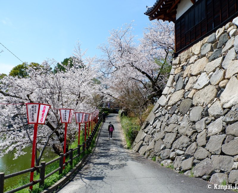 Koriyama Castle (Nara), Castle park's grounds during Yamatokoriyama Oshiro Matsuri festival 2