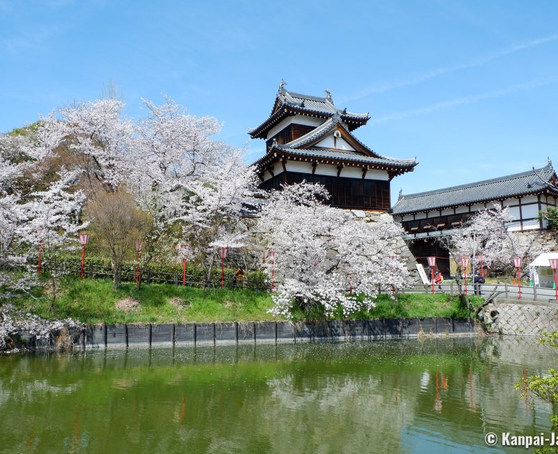 Koriyama Castle (Nara), Yagura turret and Otemon gate during the sakura season