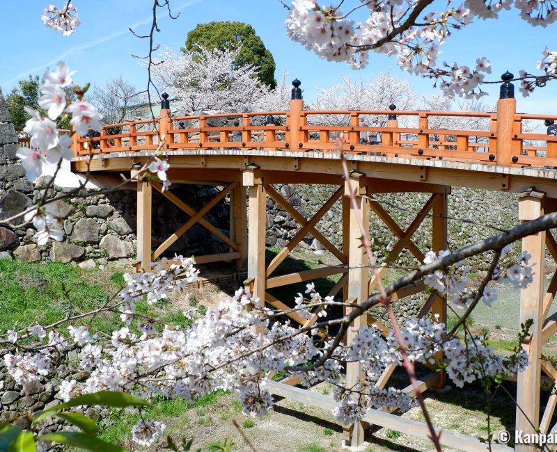 Koriyama Castle (Nara), Gokuraku-bashi bridge and cherry blossoms