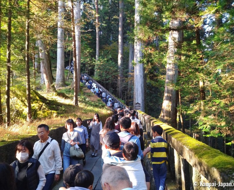 Toshogu (Nikko), Waiting line on a bank holiday (Nov. 2023)