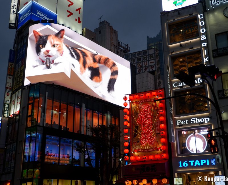 Shinjuku Giant 3D Cat at nightfall 2 Shinjuku Giant 3D Cat at nightfall 2