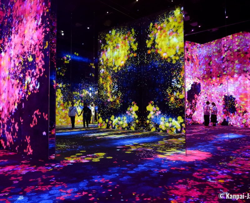 teamLab Borderless (Azabudai Hills, Tokyo), Flowers and People, Cannot be Controlled but Live Together teamLab Borderless (Azabudai Hills, Tokyo), Flowers and People, Cannot be Controlled but Live Together