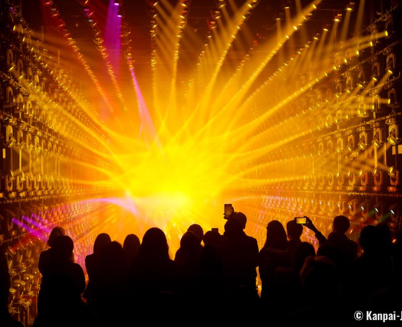 teamLab Borderless (Azabudai Hills, Tokyo), Light Sculpture 2 teamLab Borderless (Azabudai Hills, Tokyo), Light Sculpture 2