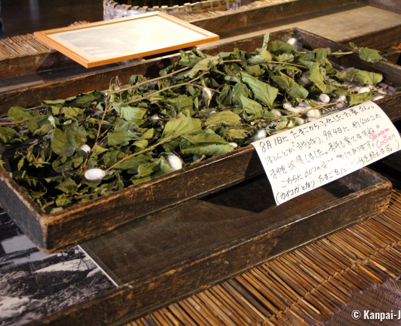 Wada House (Shirakawa-go), Silkworm cultivation display Wada House (Shirakawa-go), Silkworm cultivation display